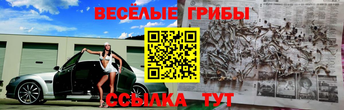 Черняховск  Псилоцибиновые грибы мухоморы  Вход с VPN  Псилоцибиновые грибы мицелий 